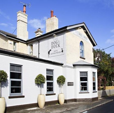 The Dog And Duck Suffolk Apartamento Woodbridge Exterior foto